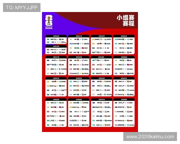 下一届世界杯2026年将在加拿大、美国和墨西哥联合举办，期待全球足球盛事的精彩表现